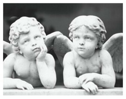 5 magnolia cemetery cherubs