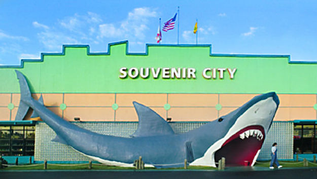 14 shop_shark0016b pleasure island condos