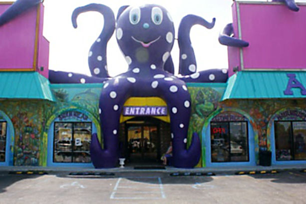 16 ThePurpleOctopus1 discover alabama beaches com