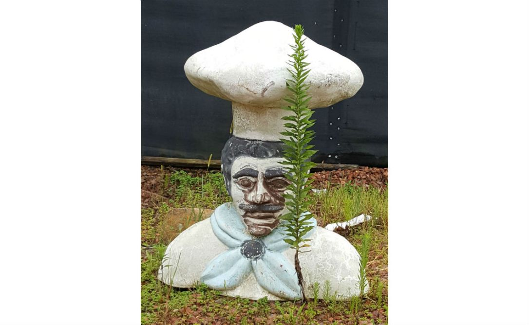 4 chef figure robertsdale