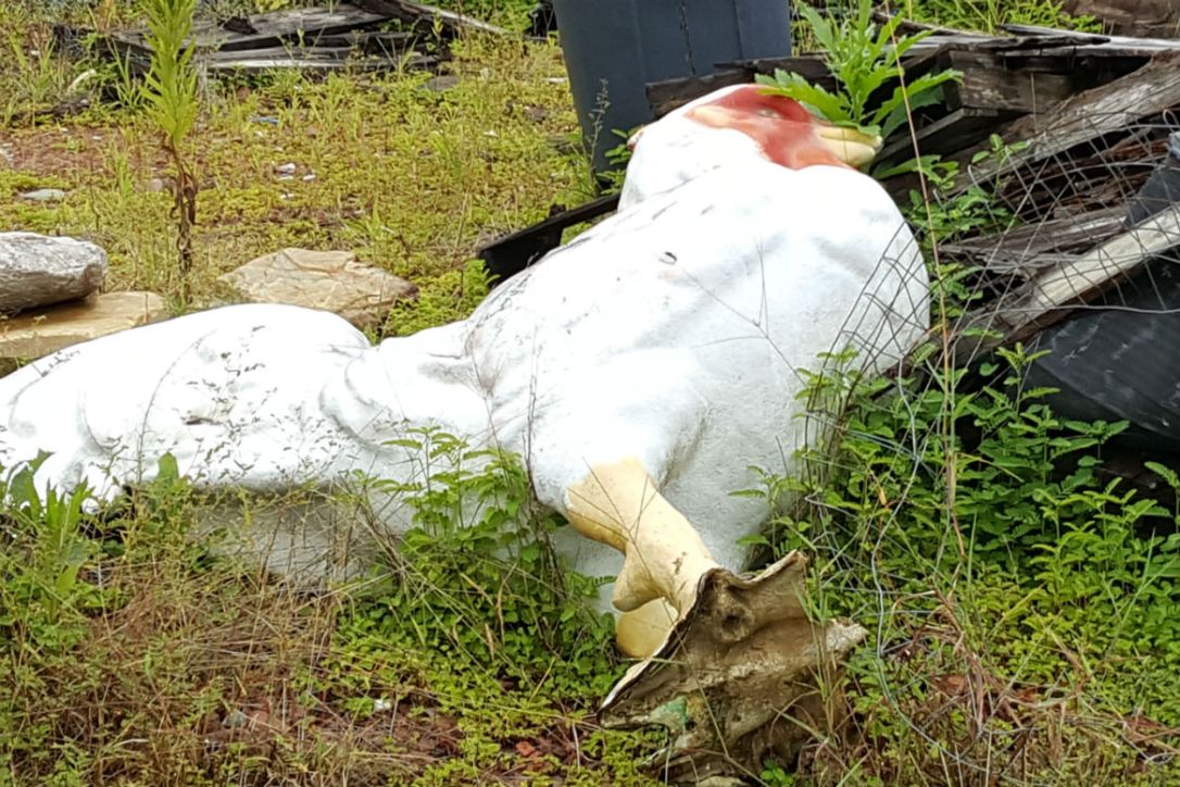 5 chicken figure robertsdale