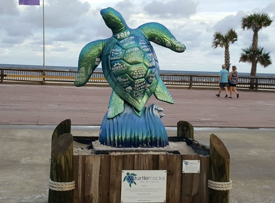 8 turtle gulf shores