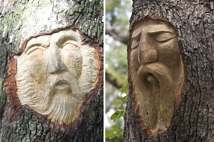 st simons tree_spirits_combo_2
