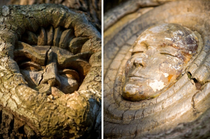 st simons tree_spirits_combo_3