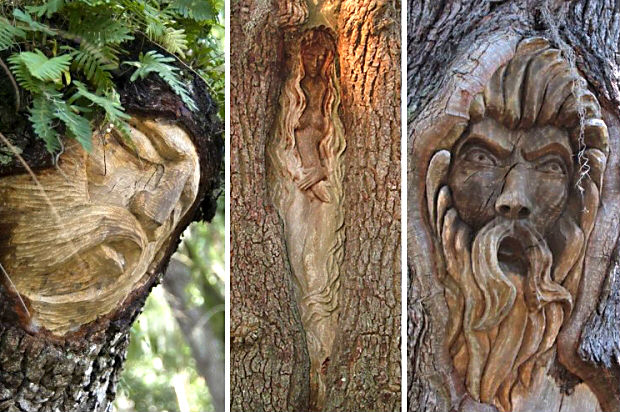 st simons tree_spirits_combo_4