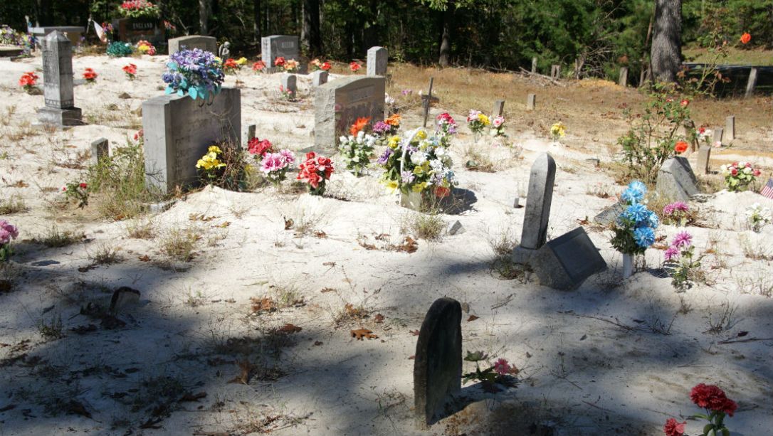 pine torch cemetery 2