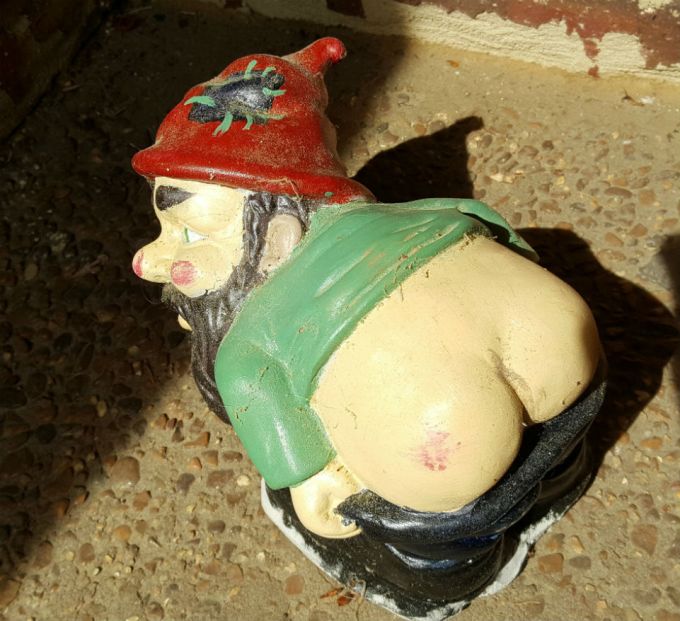 mooning-gnome