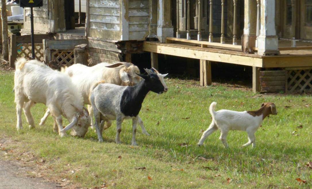 16992074_10155905639086632_4038304719100881031_o