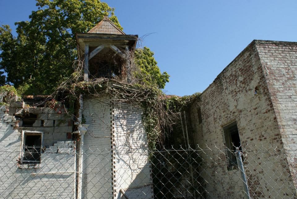 1926654_676195902445494_124702982_n