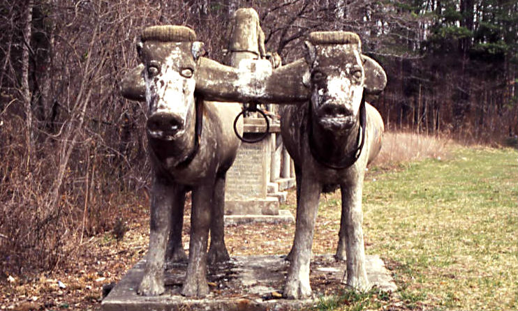 ET_Wickham_roadside_park_and_Wickham_Cemetery_two_yoke_oxen