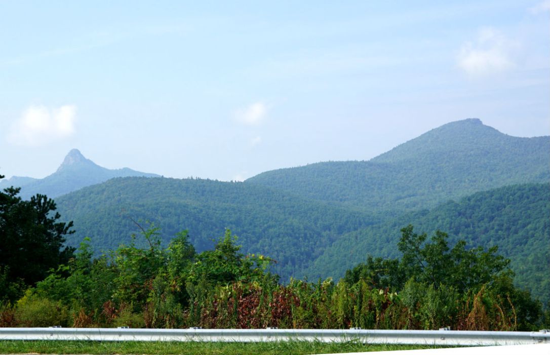 brown mtn 6 across road