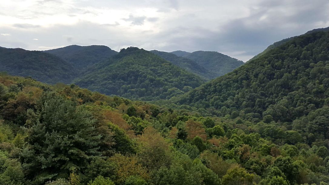 maggie valley view 4