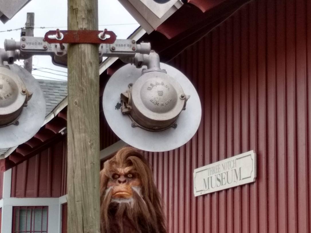 IMG_20190412_113446983_HDR