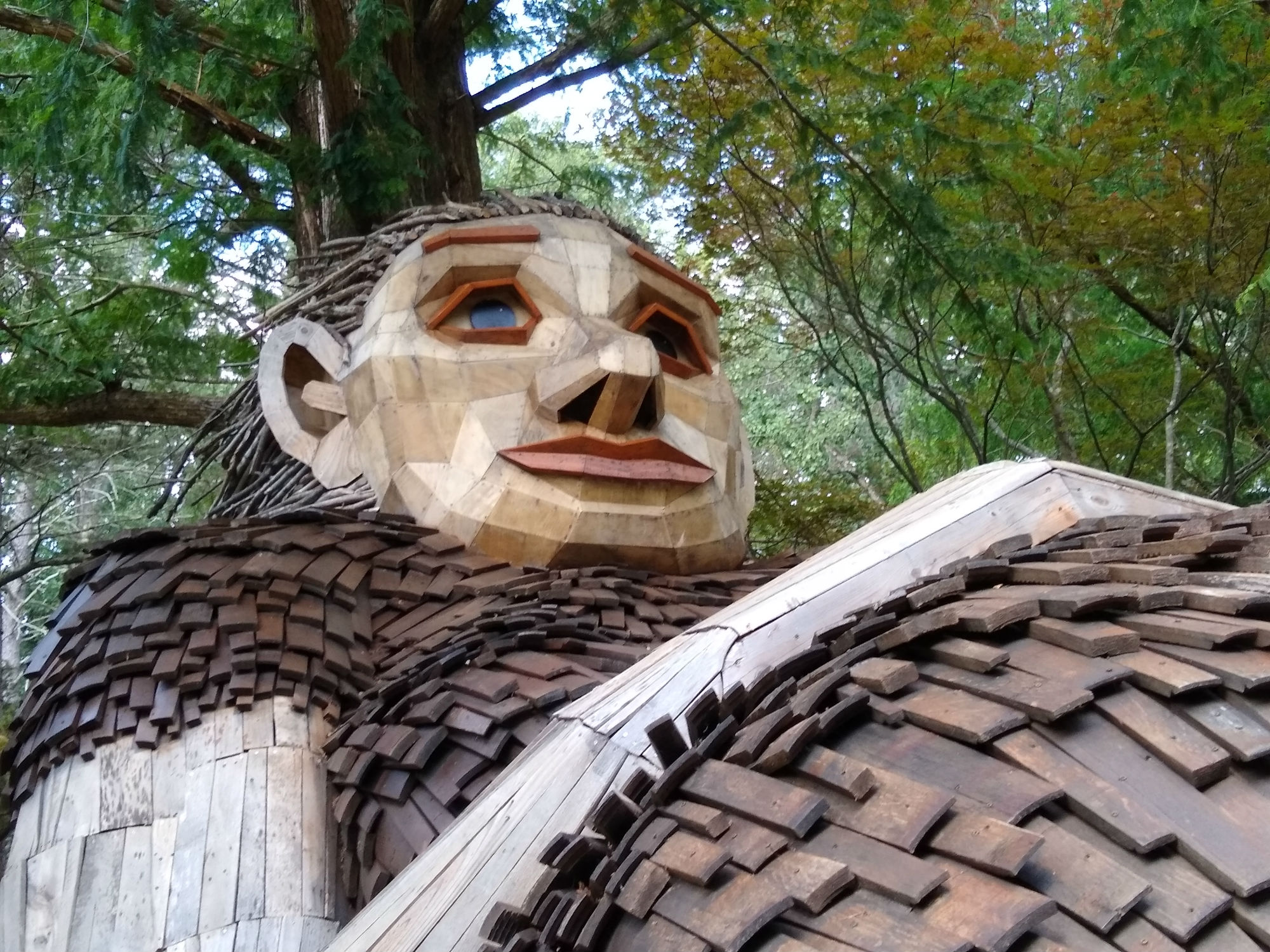 櫻*人様 Land of the Giants - Giant Collecti These giants in a Kentucky forest were just as enchanting as you'd
